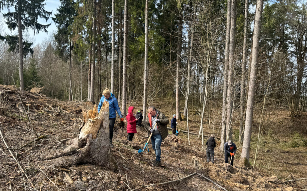 Embracing Sustainability: Planting Oaks for a Greener Tomorrow