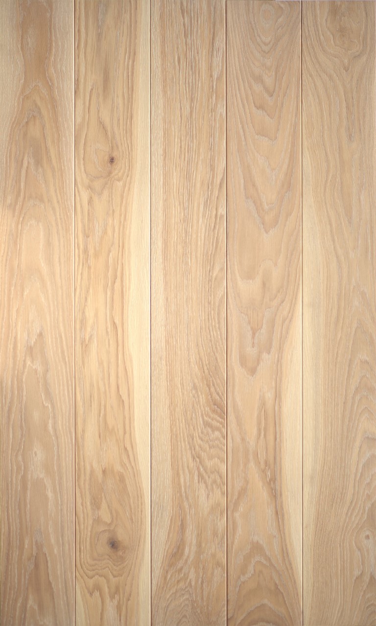 Sapwood